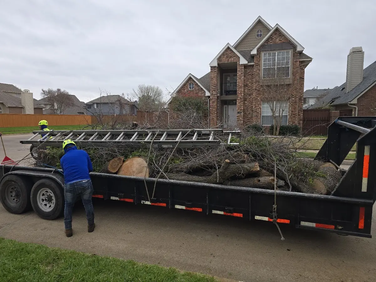 Expert Tree Removal with proper safety equipment in East Prospect